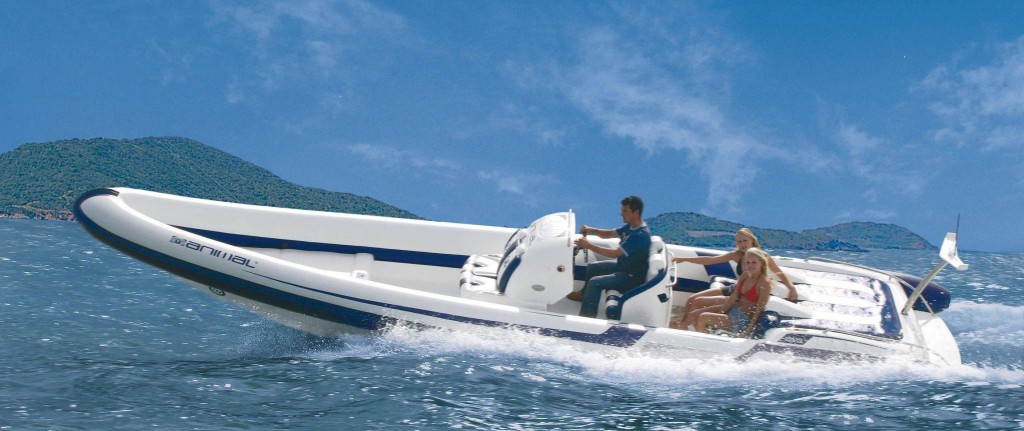 Rapid Rib 650