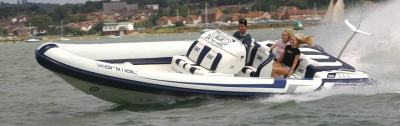 Rapid Rib 900